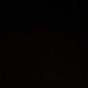 Meet your Posher, Shawn